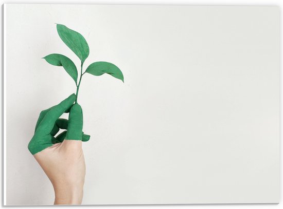 PVC Schuimplaat- Hand - Plantje - Geschilderd - Verkleurd - Overloop - 40x30 cm Foto op PVC Schuimplaat