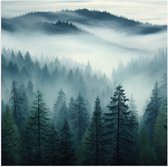 Poster Glanzend – Bomen - Bossen - Mist - 50x50 cm Foto op Posterpapier met Glanzende Afwerking