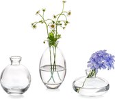 Kleine Vaas Voor Tafeldecoratie Handgemaakte Glazen Vazen ​voor Bloemen, 3-Delige Doorzichtige Vintage Bud-Vazen ​​esthetische Minivaasset Voor Kawaii Woonkamerdecoratie Slaapkamerornamenten