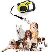 XD&L - Automatische Krimp Serie - Hondenriemen - Uitlaatriem Voor Honden En Katten - Hondenriem intrekbaar - Nylon Hondenlijn - 5 meter