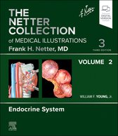 Netter Green Book Collection-The Netter Collection of Medical Illustrations: Endocrine System, Volume 2