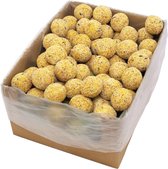 The Living Store Vogelvetbollen - Hoogwaardige energierijke mix - 200 stuks - 90 g per vetbol