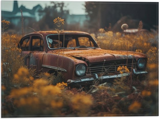 Vlag - Auto - Bloemen - Planten - Natuur - 40x30 cm Foto op Polyester Vlag