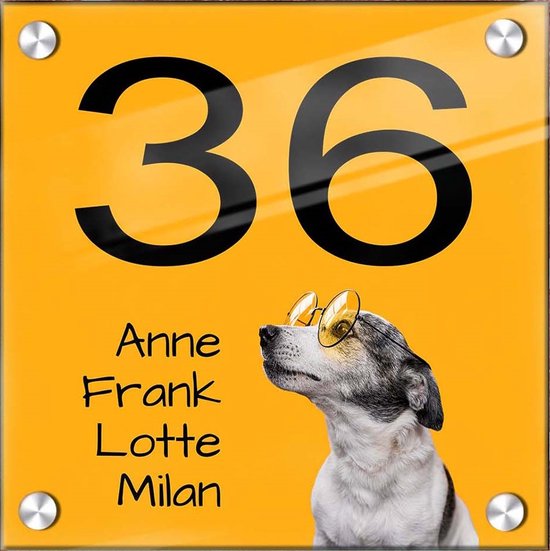 Huisnummer 36 op geel plexiglas met hond en namen, bevestigd met vier schroeven.
