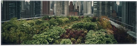 Vlag - Stad - Gebouwen - Planten - Groen - 60x20 cm Foto op Polyester Vlag