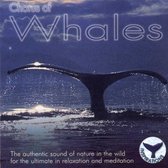 Chorus Of Whales