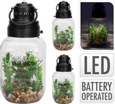 Kunstplanten in glazen pot - Batterij - LEDverlichting - vierkant - 33cm x 16cm x 16cm - batterijverlichting - onderhoudsvrij - Woondecoratie - stijlvol - rustgevend - levendige uitstraling - interieur