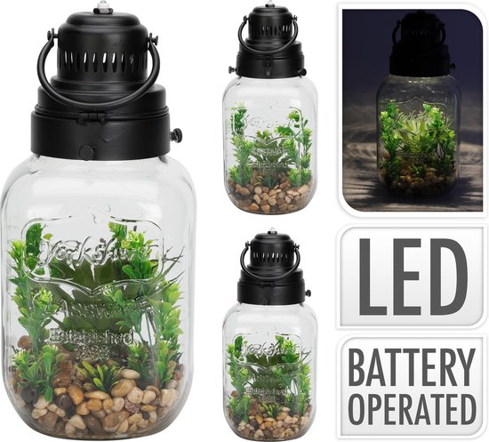 Plantes artificielles en pot en verre transparent - Éclairage LED sur batterie - 4 canaux - 33cm x 16cm x 16cm - éclairage sur batterie - sans entretien - Décoration d'intérieur - élégant - apaisant - aspect vivant - intérieur