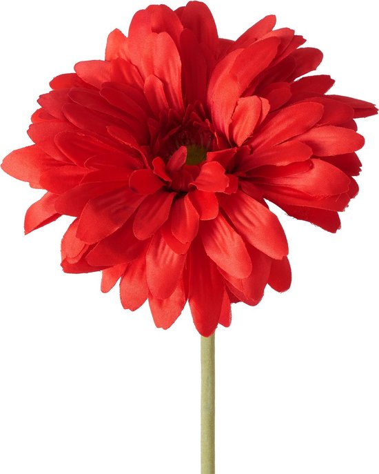 Mooie lange steelbloem 65 cm Gerbera rood