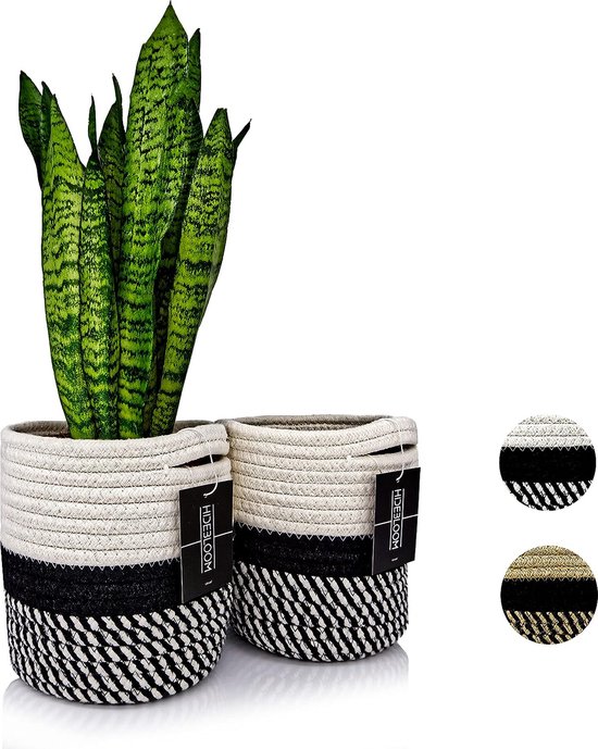 Seagrass