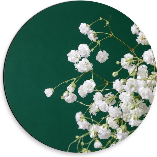 Dibond Muurcirkel - Kleine Witte Bloemen aan Takjes Voor Donker Groene Achtergrond - 30x30 cm Foto op Aluminium Muurcirkel (met ophangsysteem)