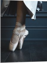 Acrylglas - Ballerina aan het Dansen op Spitzen - 60x80 cm Foto op Acrylglas (Met Ophangsysteem)