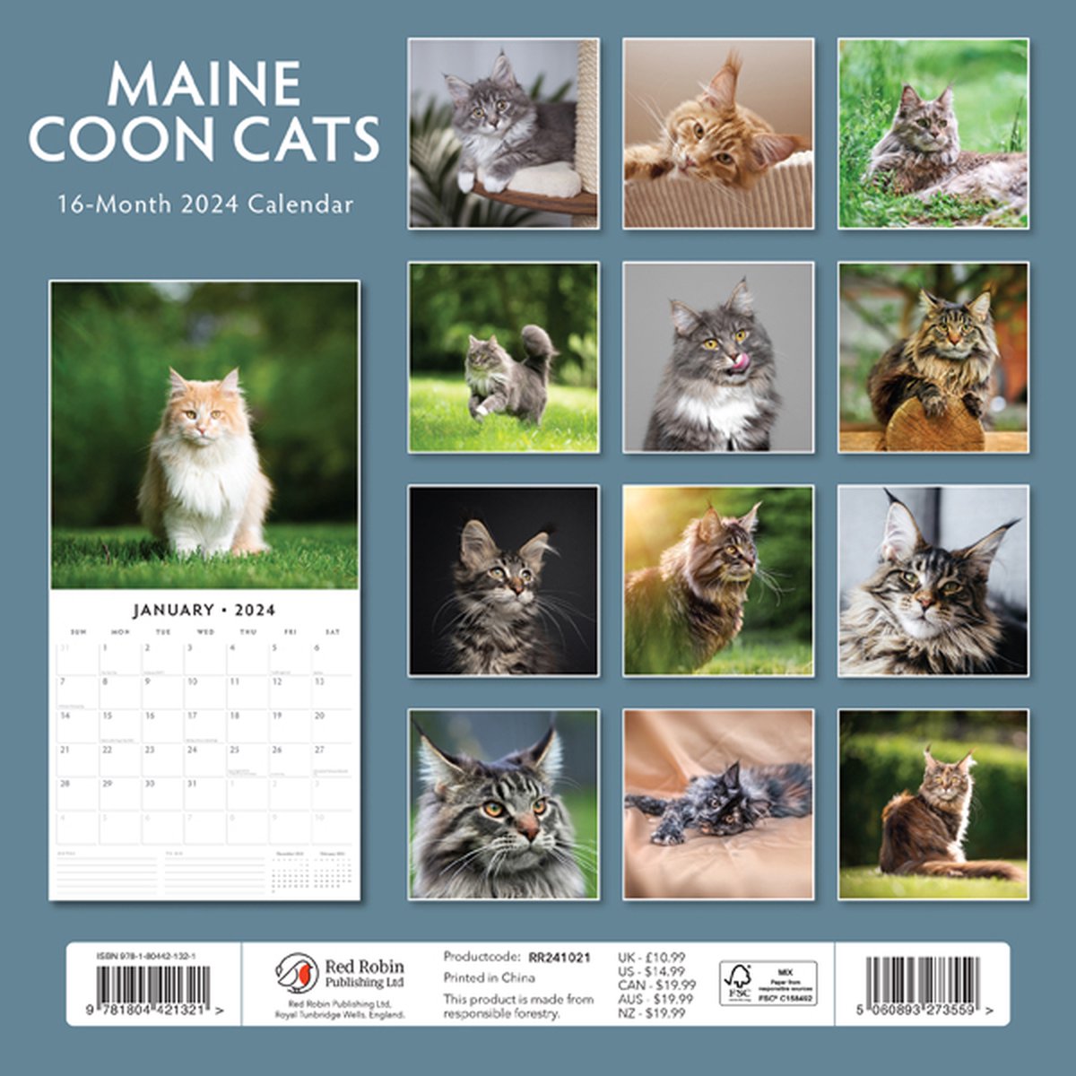 Maine Coon Cats Kalender 2024 Bol Com   1200x1200 