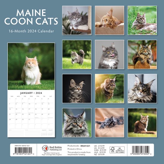 Maine Coon Cats Kalender 2024 | bol.com