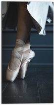 Dibond - Ballerina aan het Dansen op Spitzen - 50x100 cm Foto op Aluminium (Wanddecoratie van metaal)