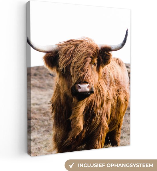 Toile - Animaux - Highlander écossais - Nature - Vaches - Peintures salon - Intérieur - Tableau sur toile - 30x40 cm - Cadre bois