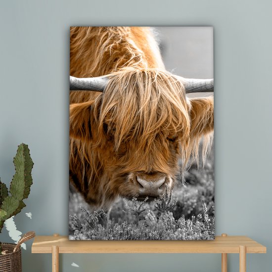 Tableau sur toile Scottish Highlander - Animaux - Marron - Vache - Zwart - Wit - Nature - 40x60 cm - Décoration murale