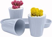 3 Pièces Pots Succulents en Céramique Mini Pots de Fleurs Pots de Plantes de Cactus avec Plateau en Céramique pour Intérieur Bureau à Domicile Bureau Table Étagère Jardin Extérieur (Gris)