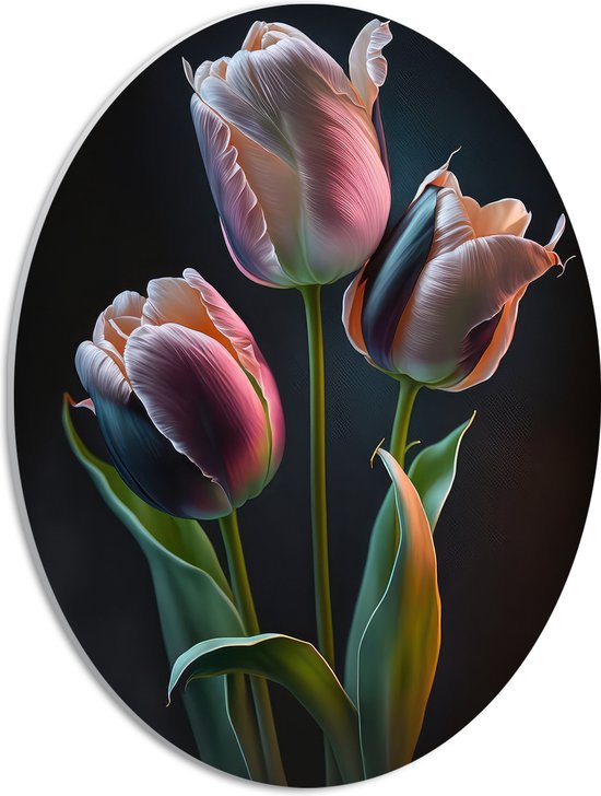 PVC Schuimplaat Ovaal - Roze tulpen voor een zwarte achtergrond - Bloemen - 30x40 cm Foto op Ovaal (Met Ophangsysteem)