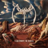 Mersinary - Tear Down The Walls (LP)
