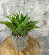 Agave - Kunstplant - inclusief pot - H 40 cm Ø 35 cm - Grijs - Beton - Dromist