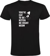 Tu as un chat pour être chaton moi miaou | T-shirt homme | Noir | Tu plaisantes maintenant | Chat| Chat | Gueule de bois | Animal | Animal de compagnie | Journée des animaux
