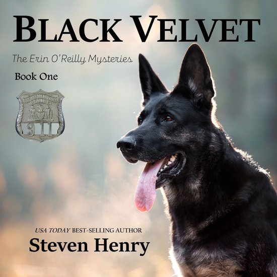 Black Velvet - cover