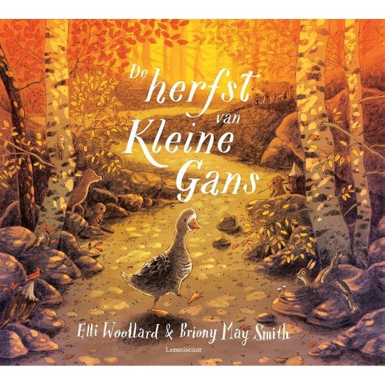 Foto: De herfst van kleine gans