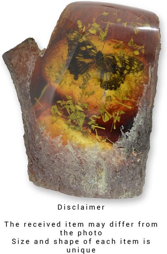 Barnsteenfossiel - Vlinder - polyresin - 15 cm hoog