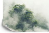 Fotobehang Tropical Forest In Japan, Nature Jungle With Green Tree And Fog, Concept Of Zin Therapy Comfortable Freedom Relaxing For Spa And Yoga, Eco Natural Sustainable Conservation