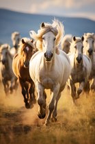 Paardenposter | Poster Paarden | Paarden op de Prairie | Poster Kinderkamer | Paard Poster | Wanddecoratie | Muurposter | 61x91cm | Geschikt om in te lijsten