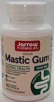 Mastic Gum 500mg 60 capsules - mastiek van Pistacia lentiscus | Jarrow Formulas