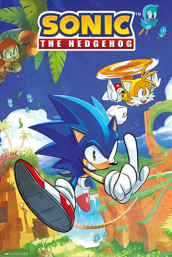 Poster Sonic the Hedgehog and Tails 61x91,5cm