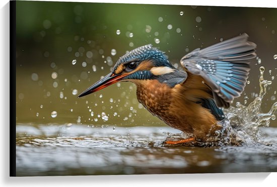 Canvas - Dier - Vogel - Kleuren - Water - 90x60 cm Foto op Canvas Schilderij (Wanddecoratie op Canvas)