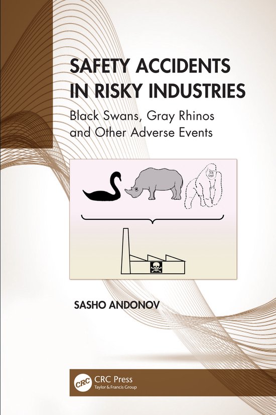 Developments in Quality and Safety- Safety Accidents in Risk ... - cover
