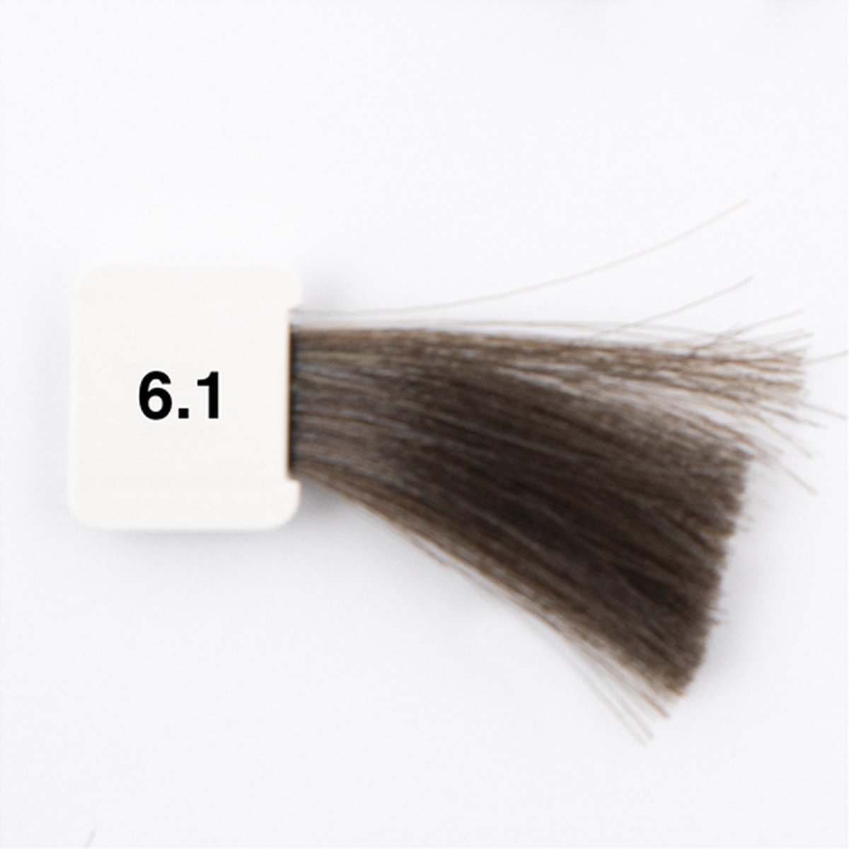 Identify haatverf 6.1 donker as blond 100ml