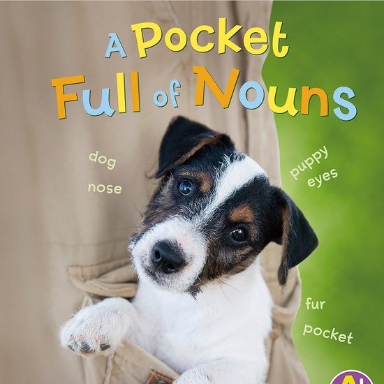 Pocket Full of Nouns, A - cover