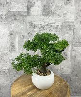 Kunstboom in pot - Bonsai - Hoogte 33 cm Ø 32 cm - Wit - Keramische pot - Binnenshuis - Bonsaiboom