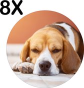 BWK Luxe Ronde Placemat - Liggende Beagle Puppy - Set van 8 Placemats - 50x50 cm - 2 mm dik Vinyl - Anti Slip - Afneembaar
