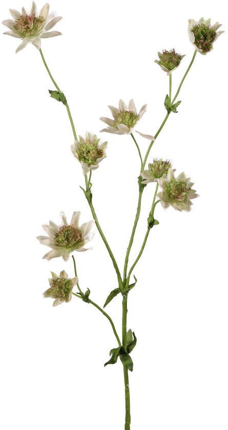 Viv! Home Luxuries Astrantia - kunstbloem - wit groen - 73cm