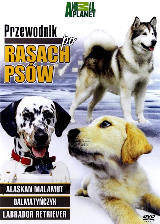 Breed All About It [DVD]