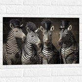 Muursticker - Familie Zebra's met Verschillende Hoeden - 60x40 cm Foto op Muursticker