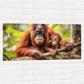 Muursticker - Orang Oetan Aap met Baby zittend bij Takken - 100x50 cm Foto op Muursticker