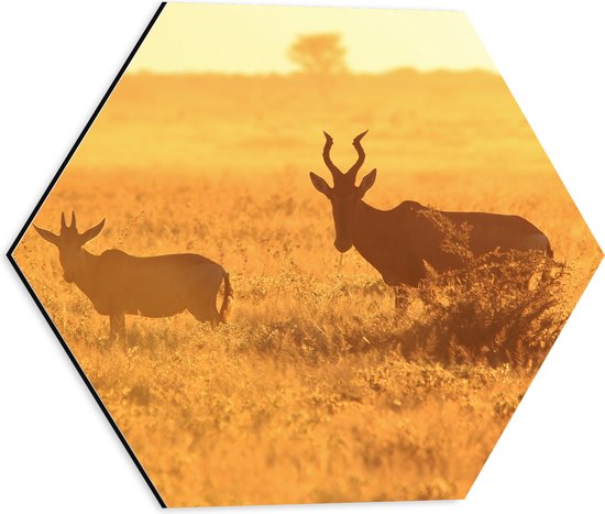 Dibond Hexagon - Antilopes over het Droge Landschap van Afrika - 40x34.8 cm Foto op Hexagon (Met Ophangsysteem)