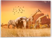 Acrylglas - De Dieren van het Afrikaanse Landschap - 40x30 cm Foto op Acrylglas (Wanddecoratie op Acrylaat)