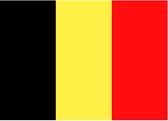 20x Binnen en buiten stickers Belgie 10 cm - Belgische vlag stickers - Supporter feestartikelen - Landen decoratie en versieringen