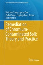 Environmental Science and Engineering - Remediation of Chromium-Contaminated Soil: ​Theory and Practice​
