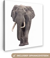 Canvas Schilderij Olifant - Afrika - Wit - 20x20 cm - Wanddecoratie