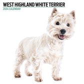 West Highland White Terrier Kalender 2024 Modern