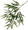 Plante suspendue Bambou 65x35x4cm vert